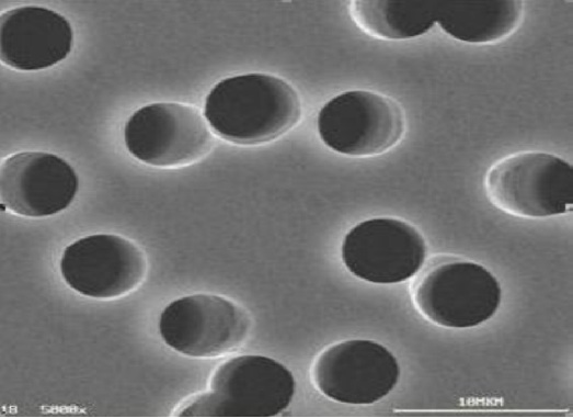 4 Nanotecnologías y membranas nucleares