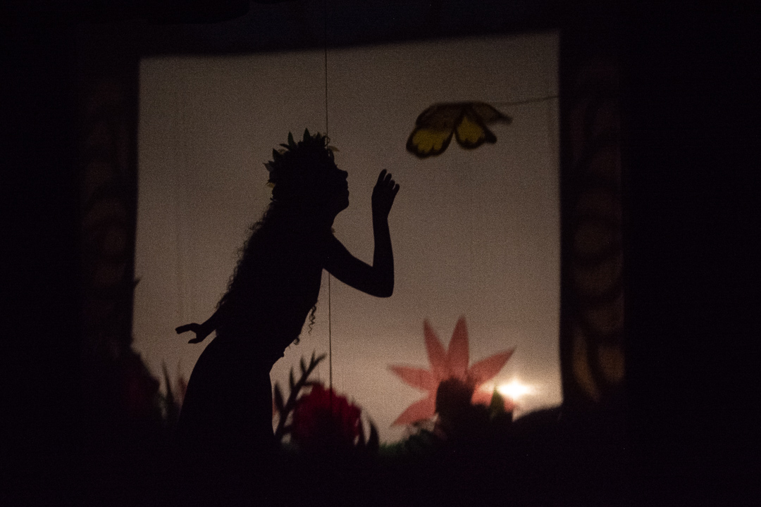teatro sombras mariposa lapp