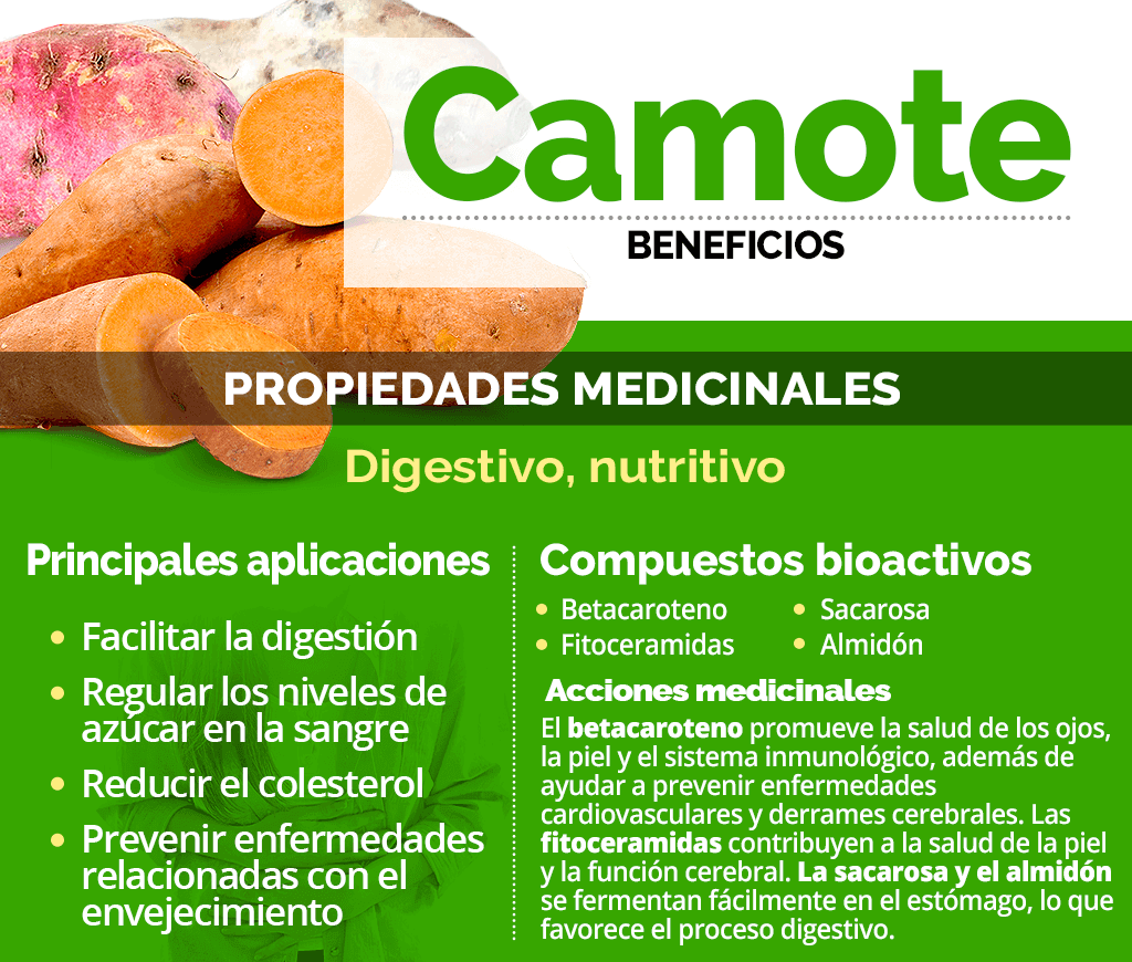 camote infographic111110001111