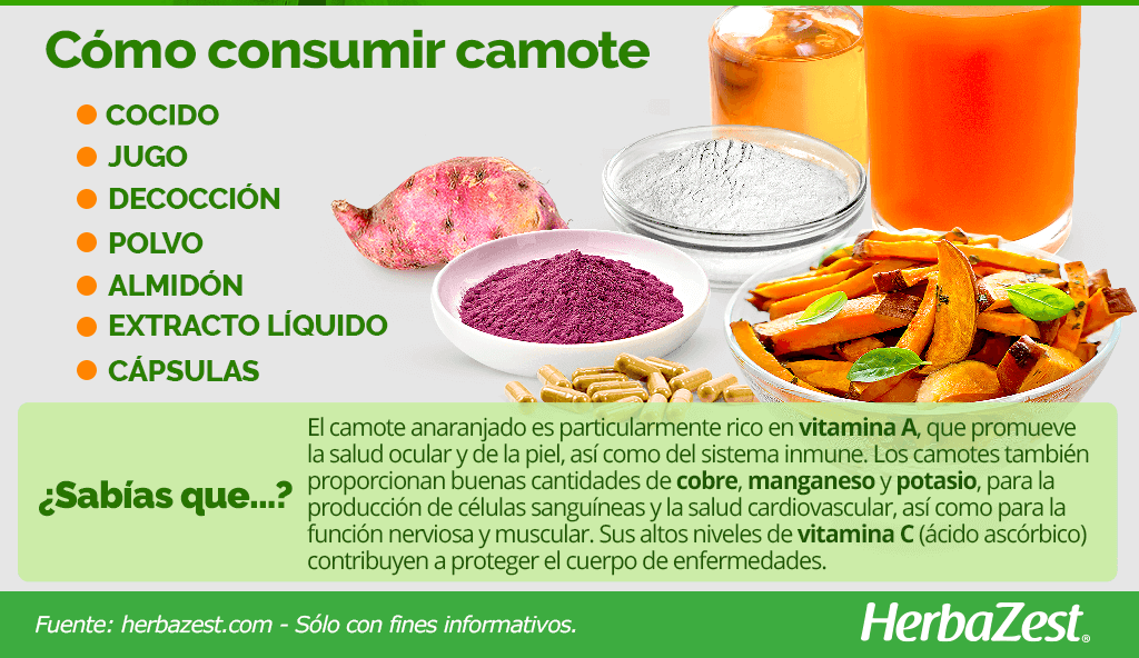 camote infographic11111000222222