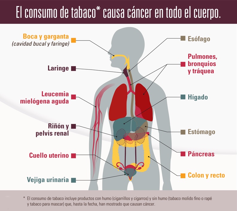 consumo tabaco causa cancer